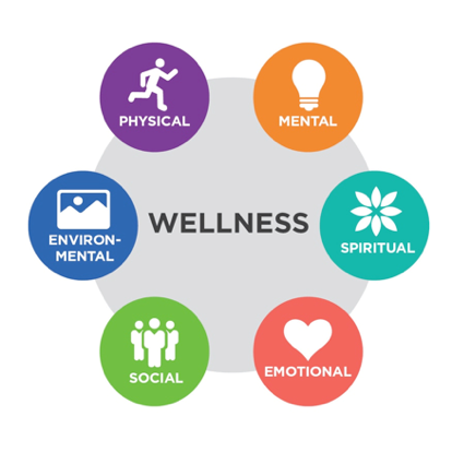 Wellness diagram: physical, mental, spiritual, emotional, social and environmental